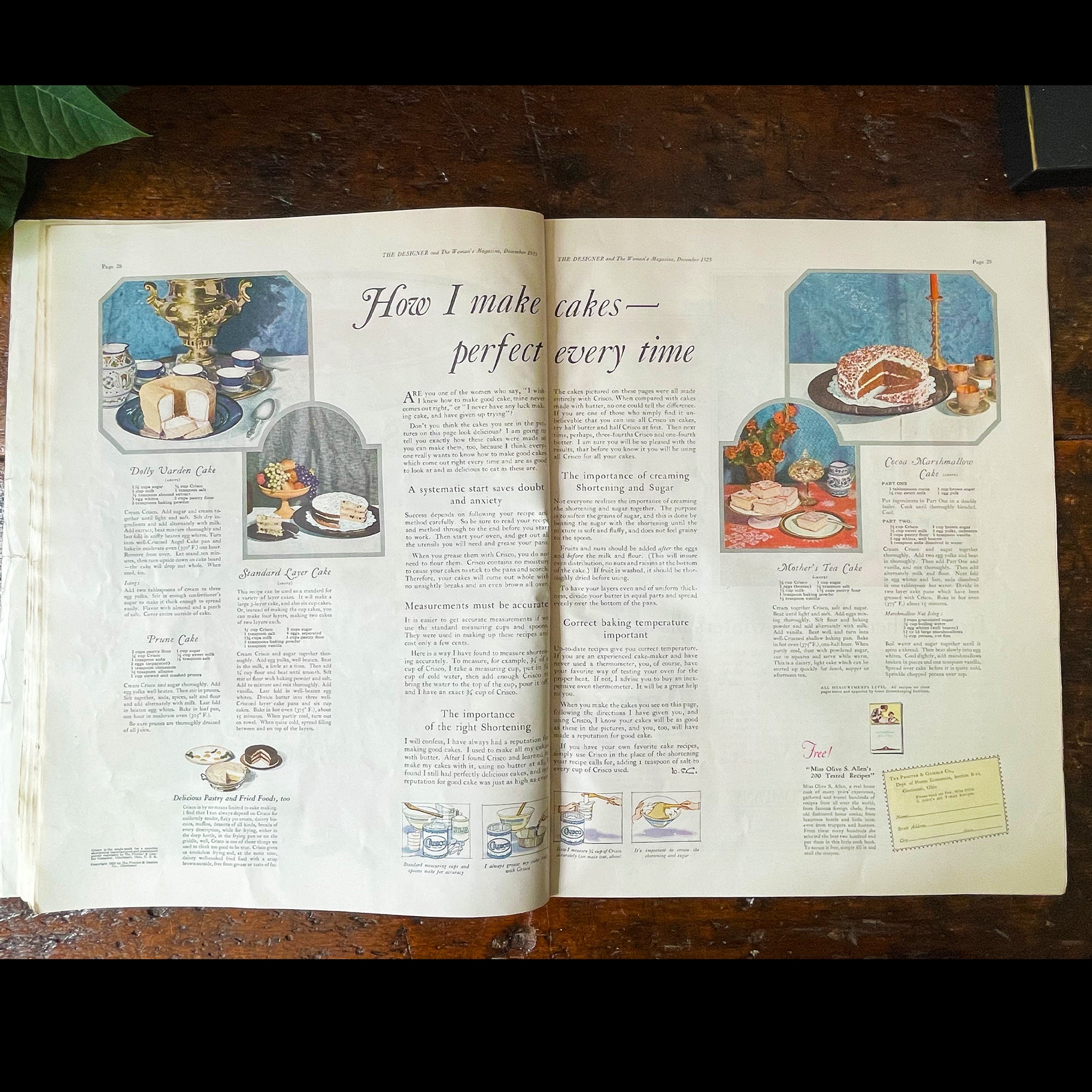 Antique Fashion and Lifestyle Magazine: The Designer and The Woman's Magazine, *Free Shipping