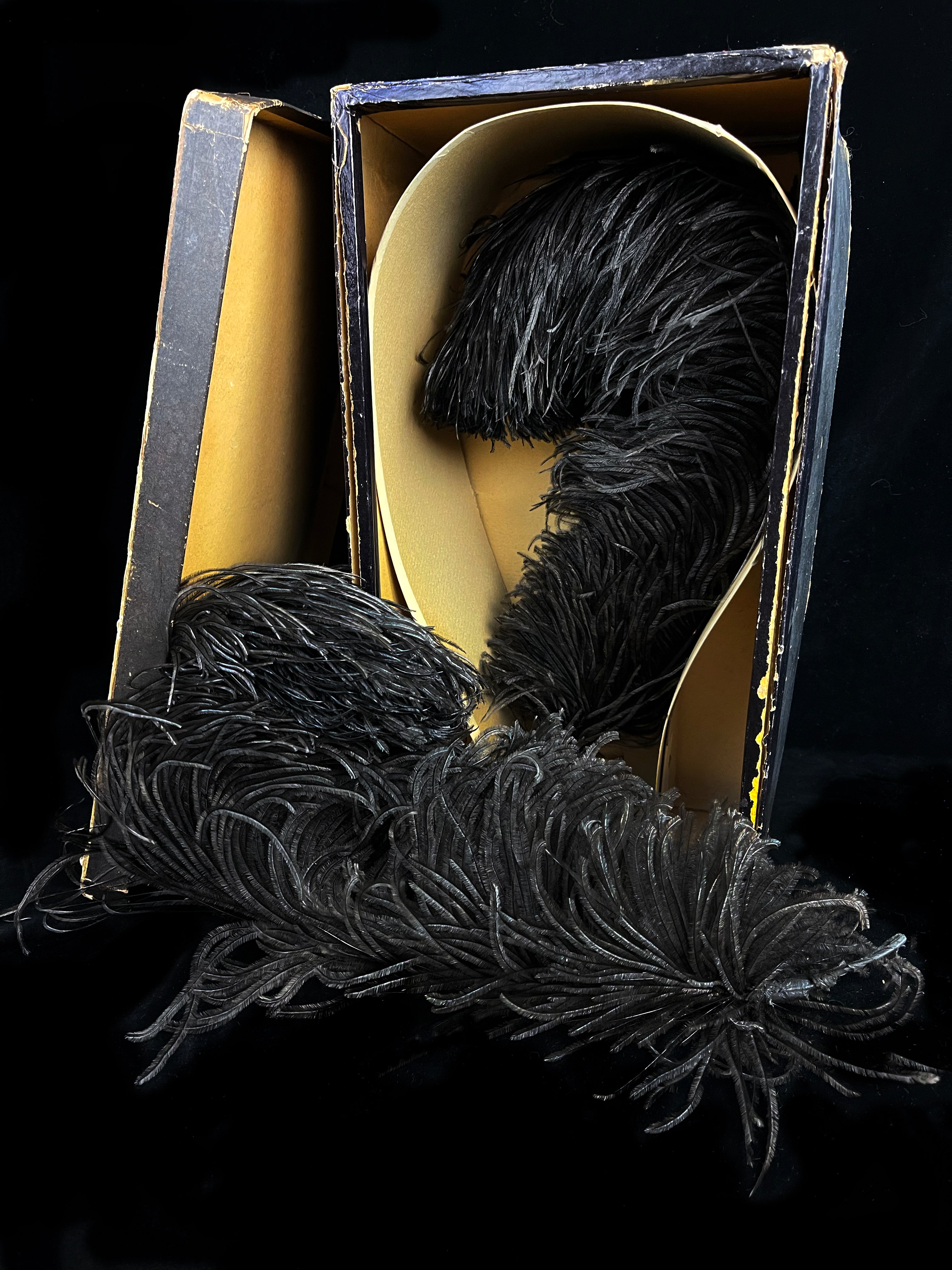 Rare 1880s French Ostrich Plumes in Original Millinery Box Unused, Museum-Quality, As Seen in "Juicy History"