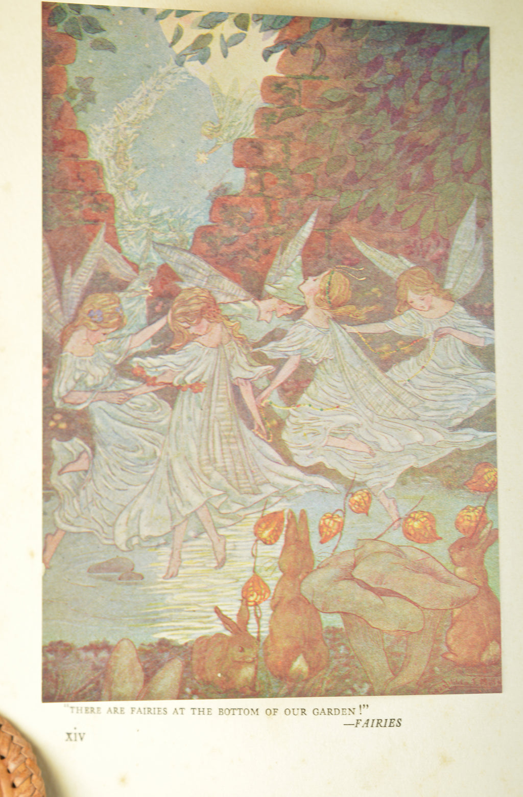 1920's Antique Children's Fairy Book, The Rose Fyleman Fairy Book, Rare First American Edition, Illustrated by Hilda T. Miller, •Free Shipping