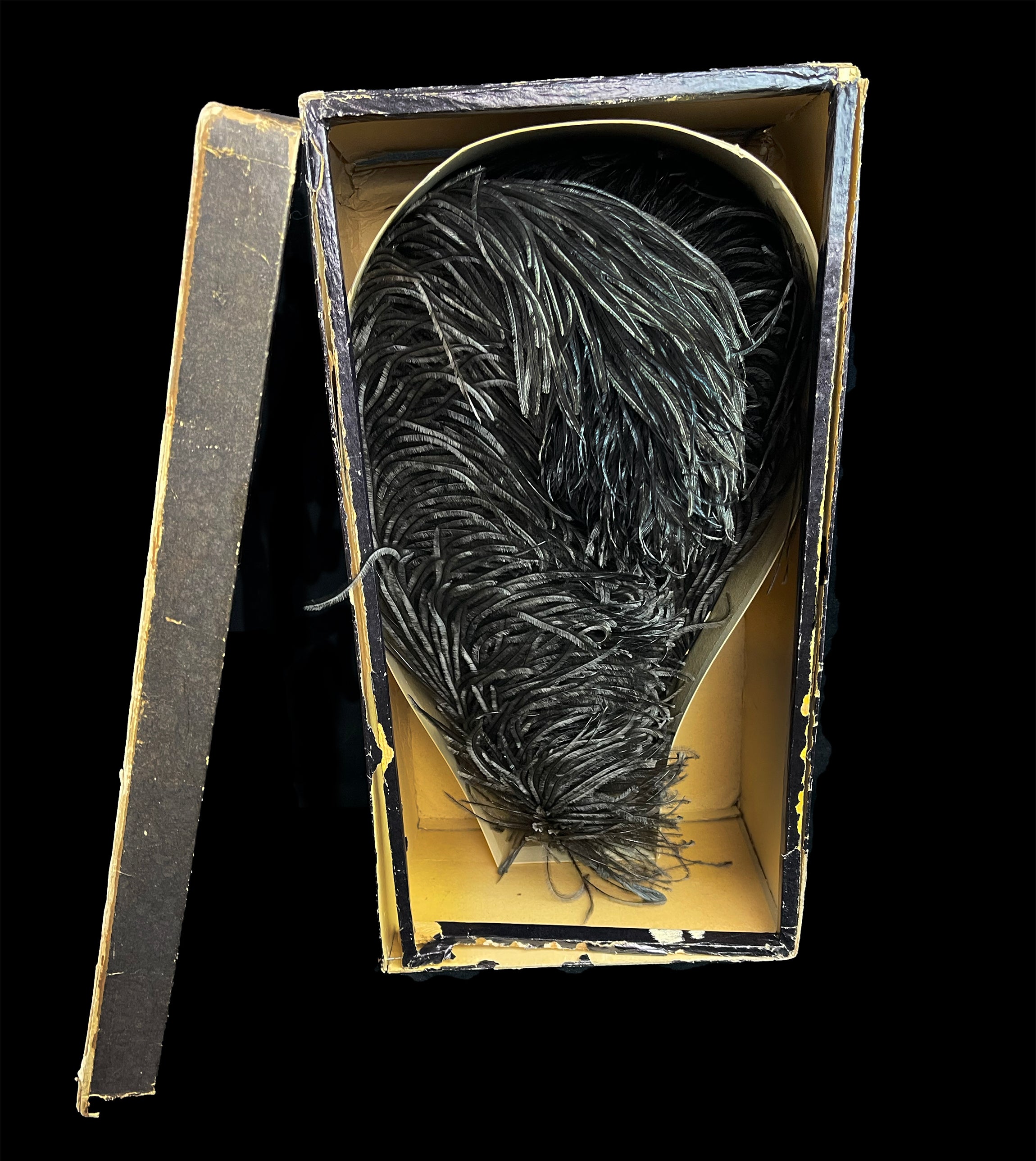 Rare 1880s French Ostrich Plumes in Original Millinery Box Unused, Museum-Quality, As Seen in "Juicy History"