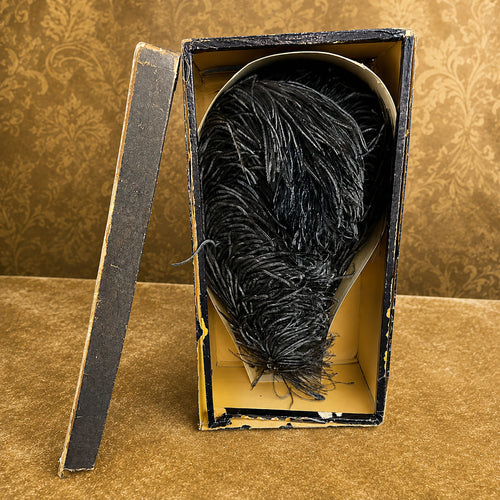 Antique 1880s French-Curled Ostrich Plumes in Original Millinery Box | Unused | As Featured in Juicy History  *Free Shipping