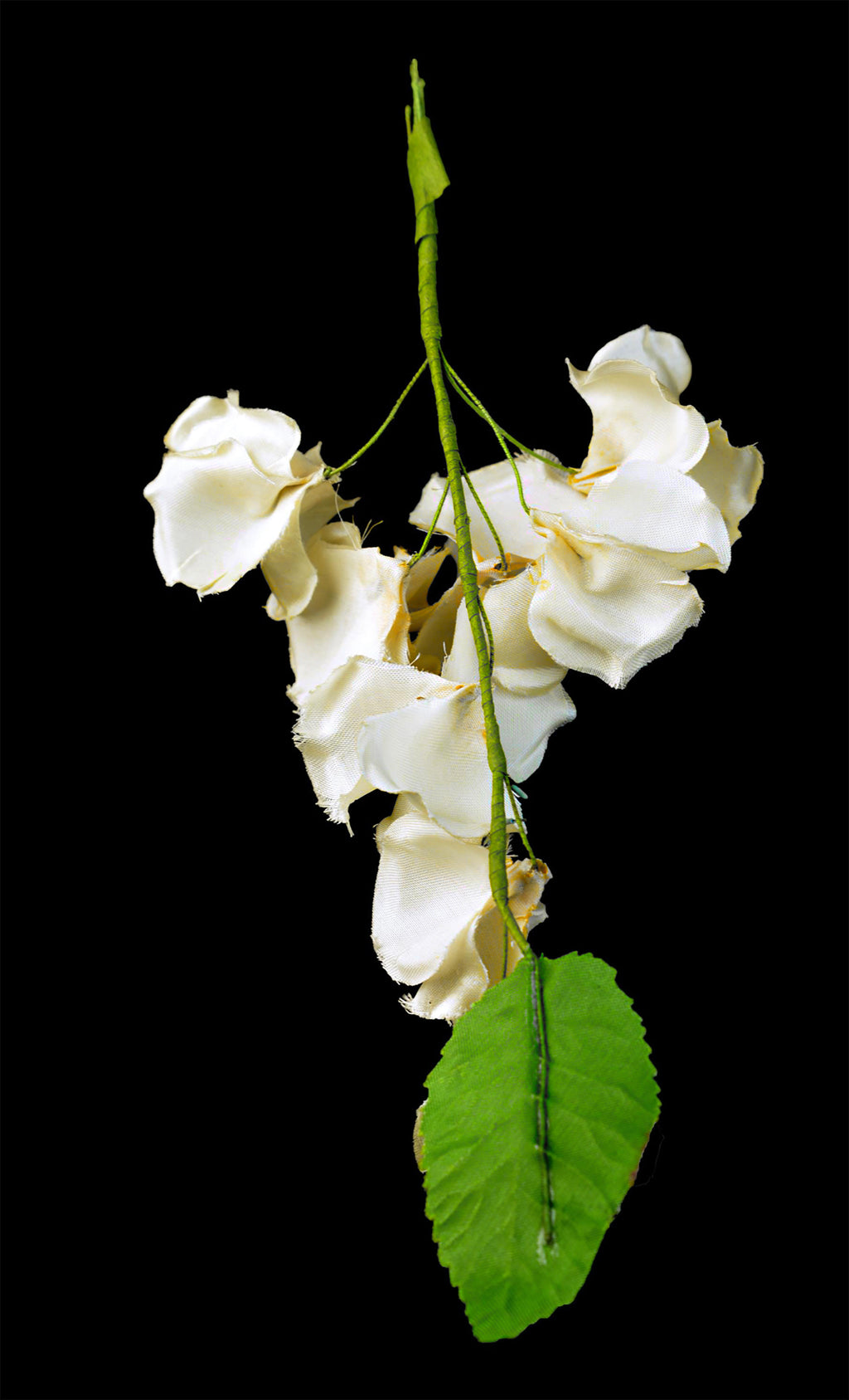 Vintage 1940s Silk Magnolia Millinery Trims with Ivory Ostrich Plume *Free Shipping