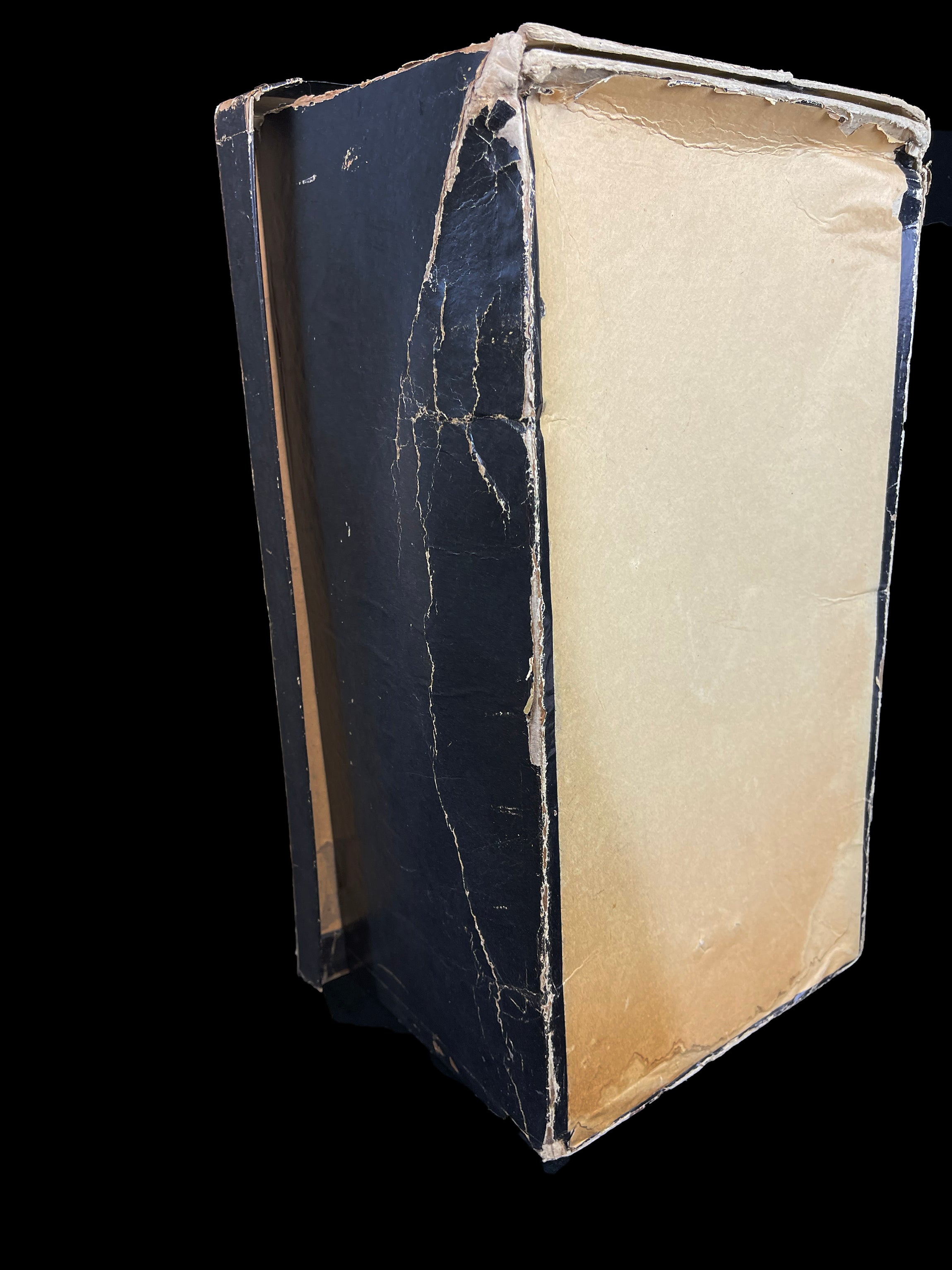 Rare 1880s French Ostrich Plumes in Original Millinery Box Unused, Museum-Quality, As Seen in "Juicy History"