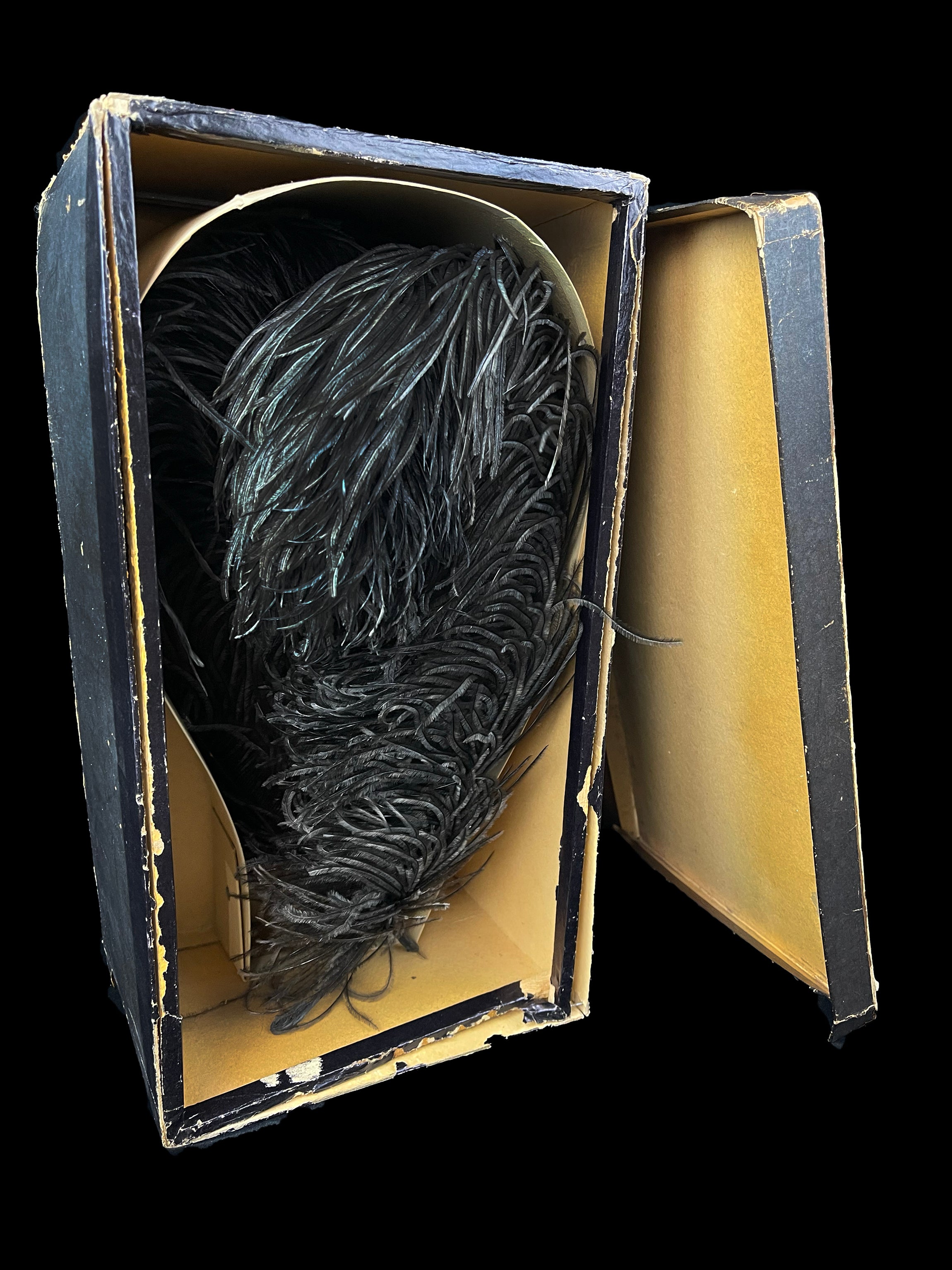 Rare 1880s French Ostrich Plumes in Original Millinery Box Unused, Museum-Quality, As Seen in "Juicy History"